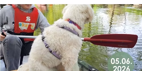 Kanu mit Hund an der Mosel