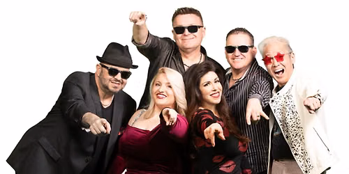 Kiss 'N Tell @ Bike Dog Brewing East Sac Sunday, July 19th