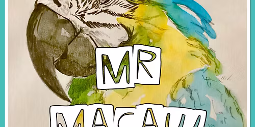 Mr Macaw