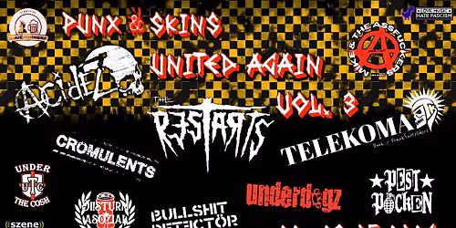 Punx & Skins United Again - Vol. 3