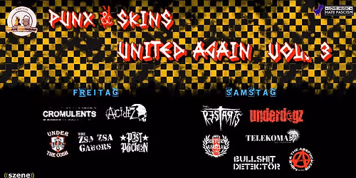 Punx & Skins United Again - Vol. 3