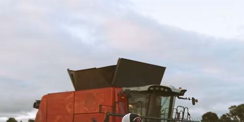 Blake Hodgins and Hayley Bloomfield\u2019s Stag & Doe