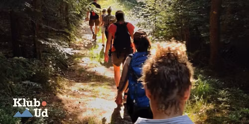 Vandretur - Silkeborg Vesterskov 13 km