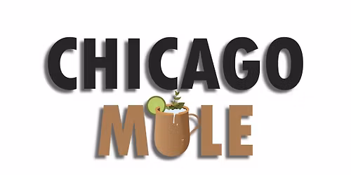 Live Music with Chicago Mule at Waterfront Mary's