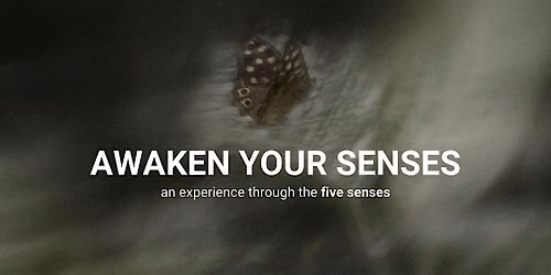 Awaken Your Senses: A 4-Hour Sensory Retreat
