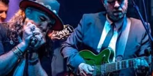 The Terraplanes Blues Band