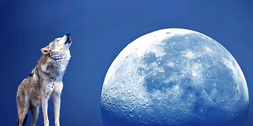 Wolf Full Moon Mediation with Sound Bath,