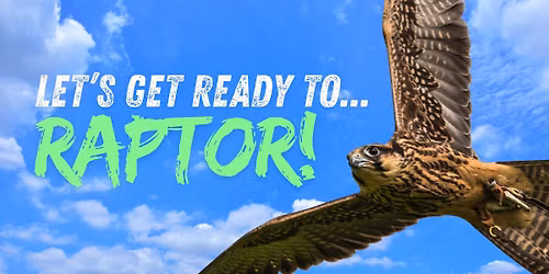 Let's Get Ready to...Raptor!