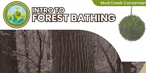 Land Trust Days: Intro to Forest Bathing