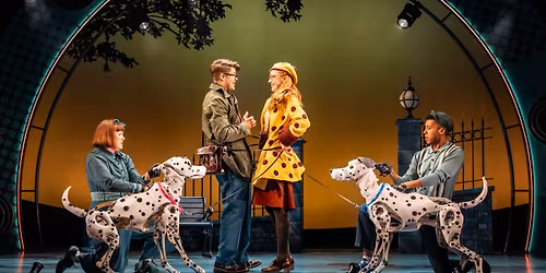 Parking 101 Dalmatians Youth Edition