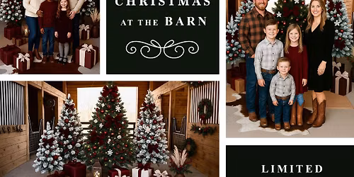 Christmas Barn Minis (SOLD OUT)