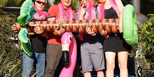 Wyld Flamingos at Zeeks Pizza!