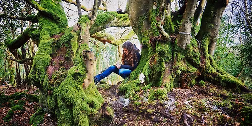 3 Dni Transformacji w Sercu Dzikiej Irlandii | Retreat Dla Kobiet \ud83c\udf32