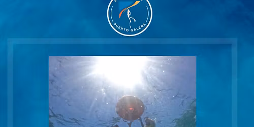FREEDIVING IN PUERTO GALERA 2D1N