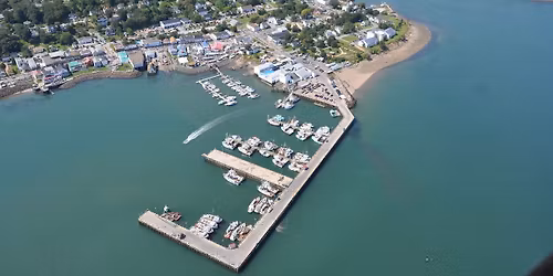 Meat Bingo in Cornwallis Park... this Friday and every Friday!