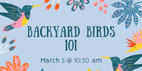 Backyard Birds 101