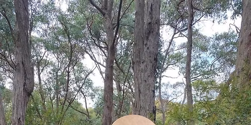 Drum\/Chant Circle with Sue Curtis - November