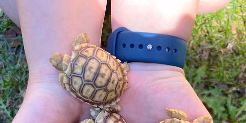 Dr. Michael Bechtel's Animal Adventures