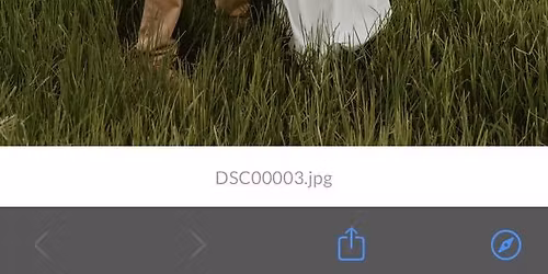 Matt & Anna\u2019s Wedding Shower 