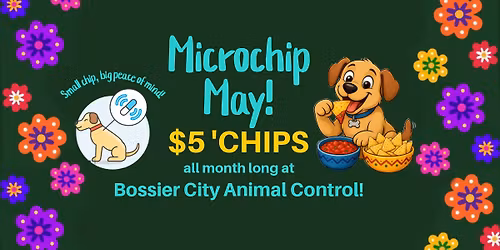 Microchip May! $5 'CHIPS at Bossier City Animal Control 