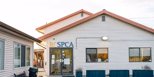 Surrey BC SPCA Centre Tour
