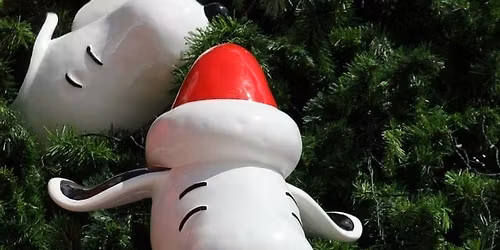 The Little Tree Celebration (Holiday Event at the Statesville Fitness & Activity Center)