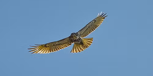 \u8d85\u8d8a\u5275\u50b7\uff1a\u7cfb\u7d71\u6392\u5217\u5de5\u4f5c\u574a