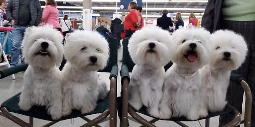 Annual Specialty Show