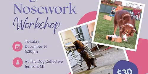 Beginner Nosework Workshop