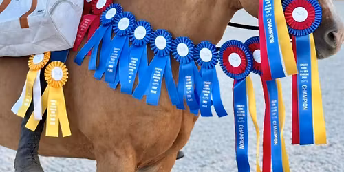 Conquest Farms 4th Annual Hunter\/Jumper Schooling Show