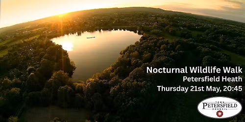 Nocturnal Wildlife Walk