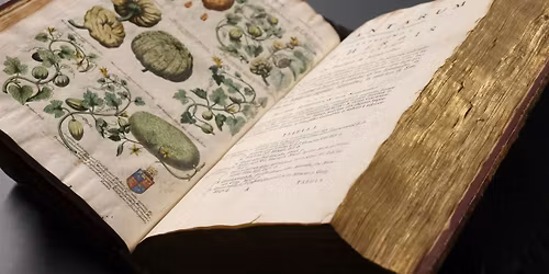 LAI CMG AGM talk on cataloguing early botanical books & tour Herbarium TCD