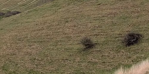 20th anniversary 10k Longman loop