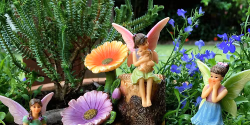Make your own fairy garden with seeds \u00a310.0 per child 