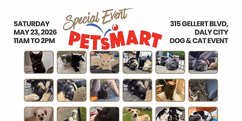 Petsmart X HDBnQ Rescue Adoption Event
