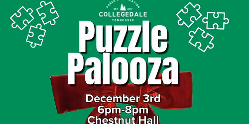 Puzzle Palooza