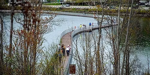Lake Williams Boardwalk and Nature Trail