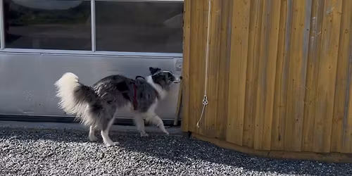 NW1 og S1- I p\u00e5 Ask\u00f8y