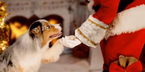 Pictures with Santa! 