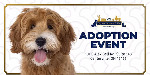 Adoption Event at Dayton Humane & Co.