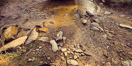 Canberra Shark Drive