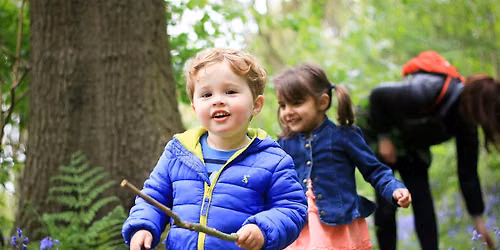 Friday Nature Tots - Woolley Firs, Maidenhead, September-December