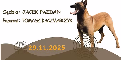 Testy Psychiczne, Egzamin BH-VT i przegl\u0105d kwalifikacyjny Owczark\u00f3w Niemieckich