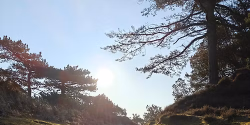 Fan\u00f8 \u00d8 Camino