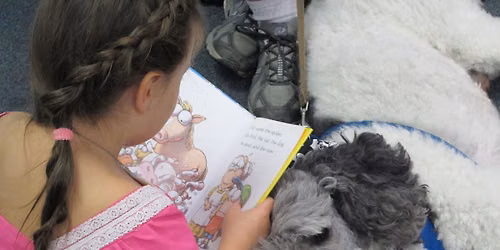 Sit, Stay, READ! (Grades K-5)