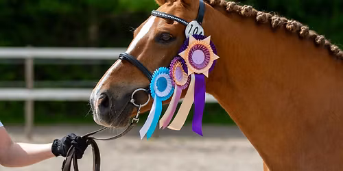Show4Horses 2026