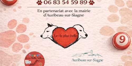 Loto solidaire la vie plus belle 