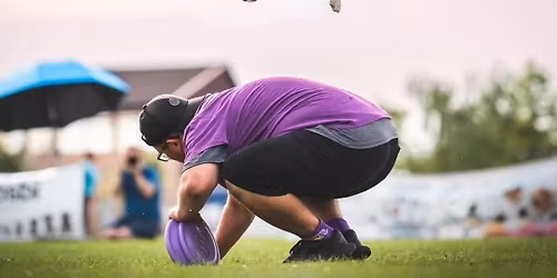 4 t\u00e4tiges Dogfrisbee Seminar mit Istvan Fodor vom Freitag den 22.05 bis 25.05.2026