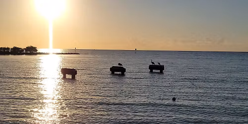 Clean Up Smathers Beach near Margaritaville Hotel. Keller Williams Red Day