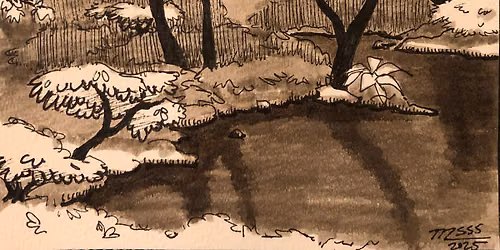 Drawing Fundamentals in Nature
